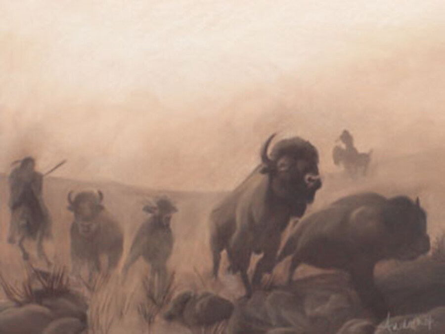 Buffalo Run